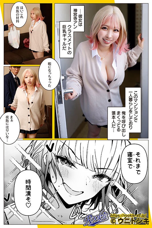 RKI-721 이미지 #4