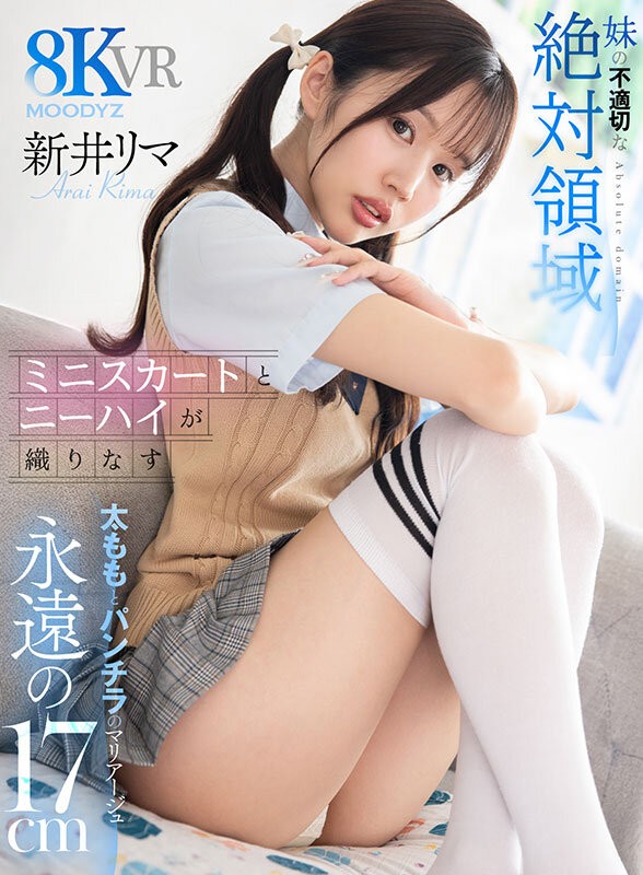 MDVR-408 이미지 #3