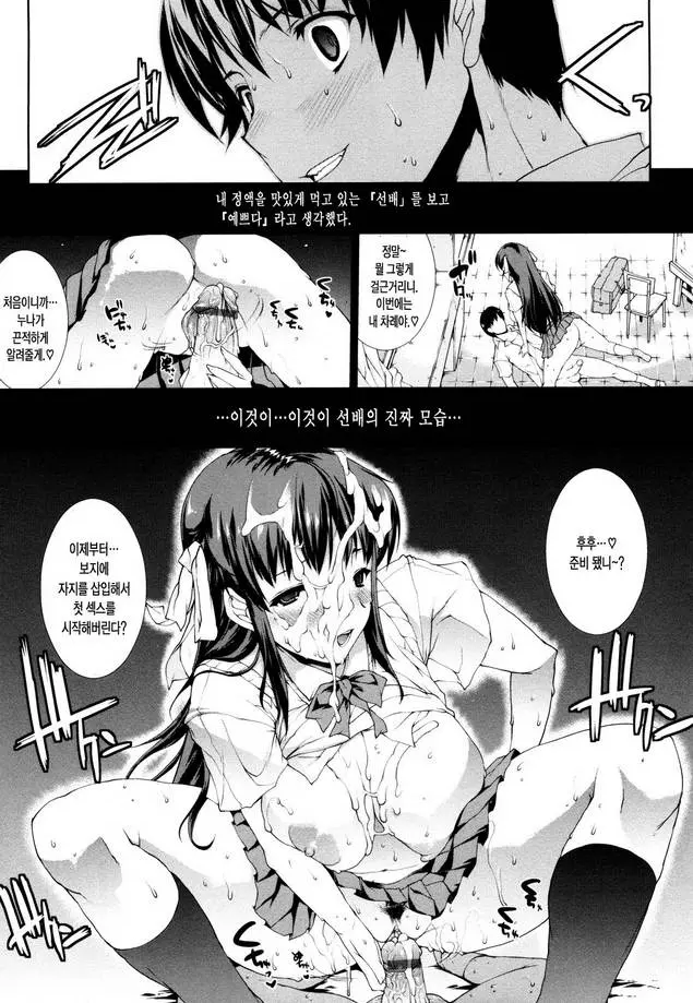 17805475332153.webp