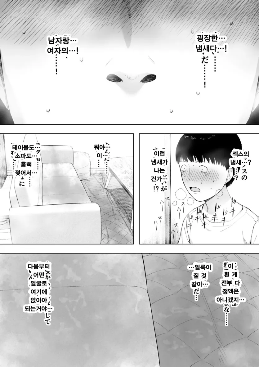 17806356673213.webp